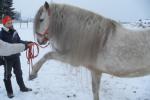 Bild-Thumbnail