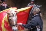 Bild-Thumbnail