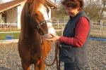 Bild-Thumbnail