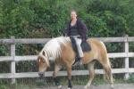 Bild-Thumbnail