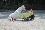 Bild-Thumbnail