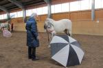 Bild-Thumbnail