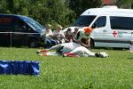 Bild-Thumbnail