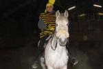 Bild-Thumbnail