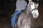 Bild-Thumbnail