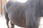 Bild-Thumbnail